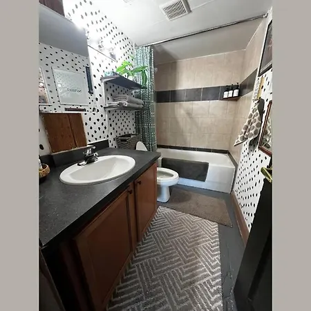 420 Friendly Boho Loft Downtown King Suite Free Parking Detroit Exterior photo